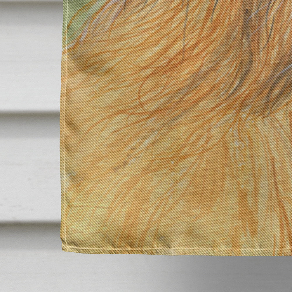 Briard Flag Canvas House Size  the-store.com.