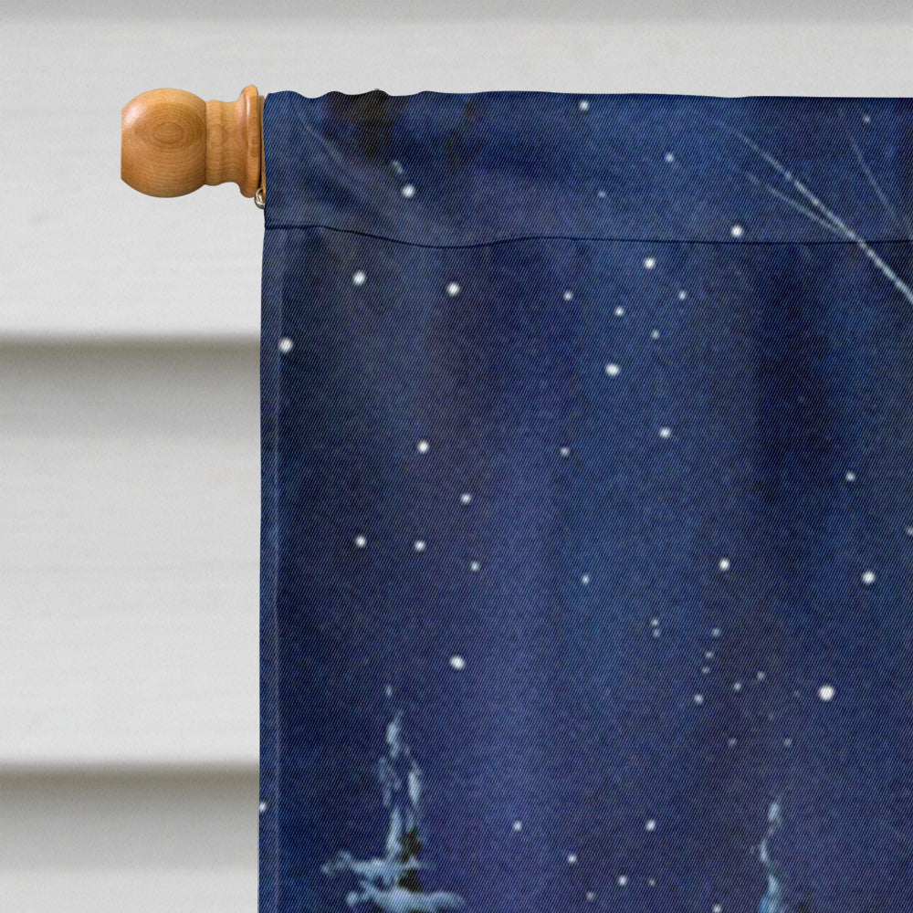 Starry Night Akita Flag Canvas House Size