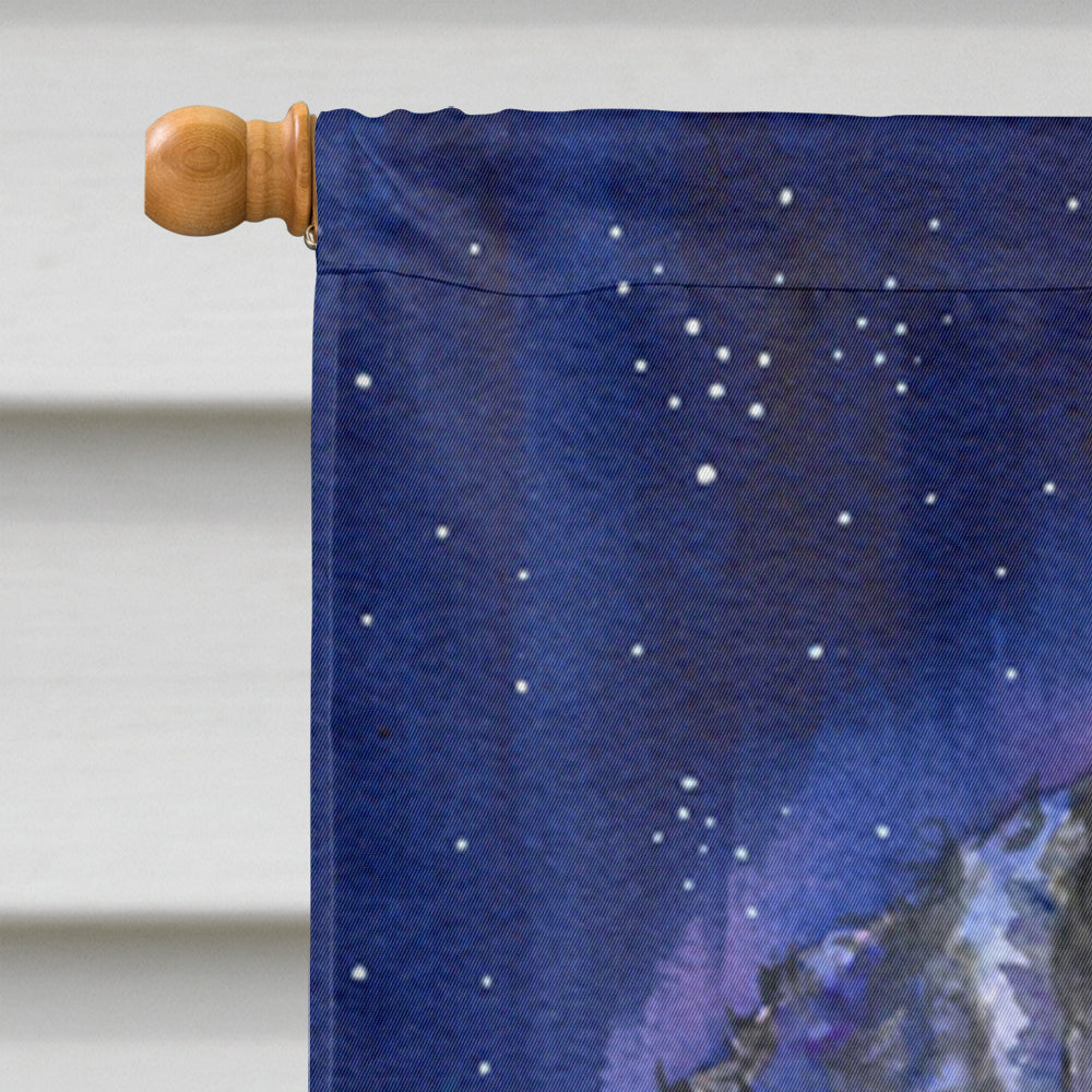Starry Night Curly Coated Retriever Flag Canvas House Size