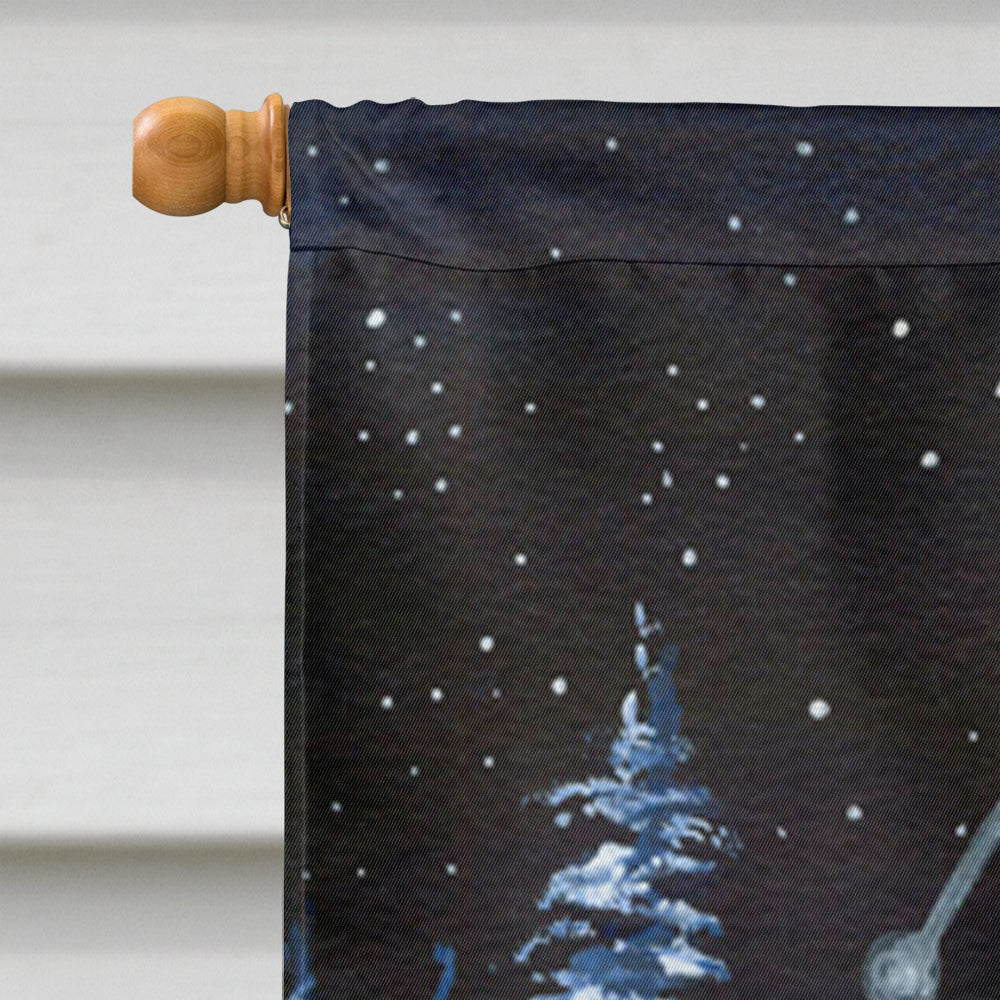 Taille de maison de toile de drapeau de berger australien de nuit étoilée