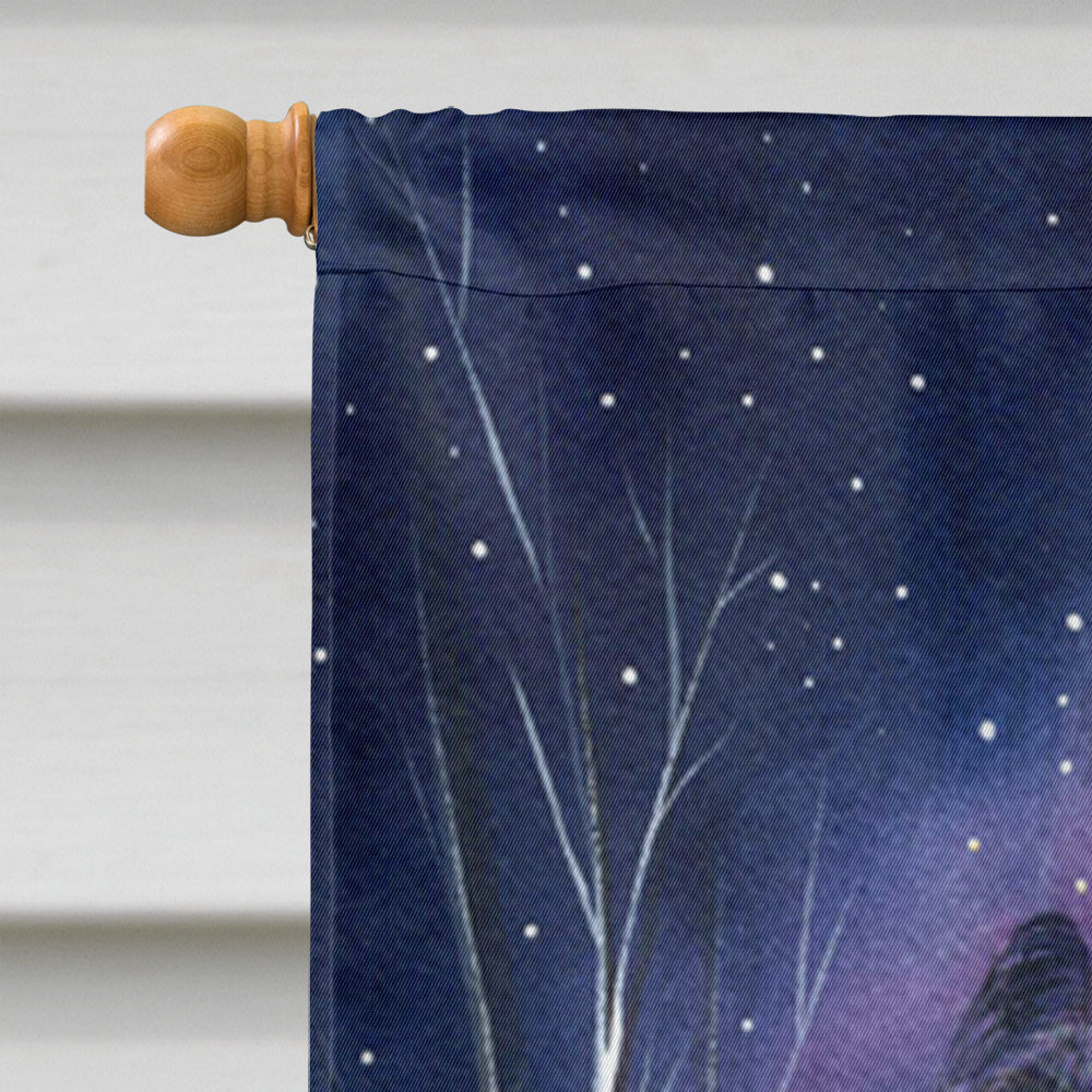 Starry Night Briard Flag Canvas House Size  the-store.com.