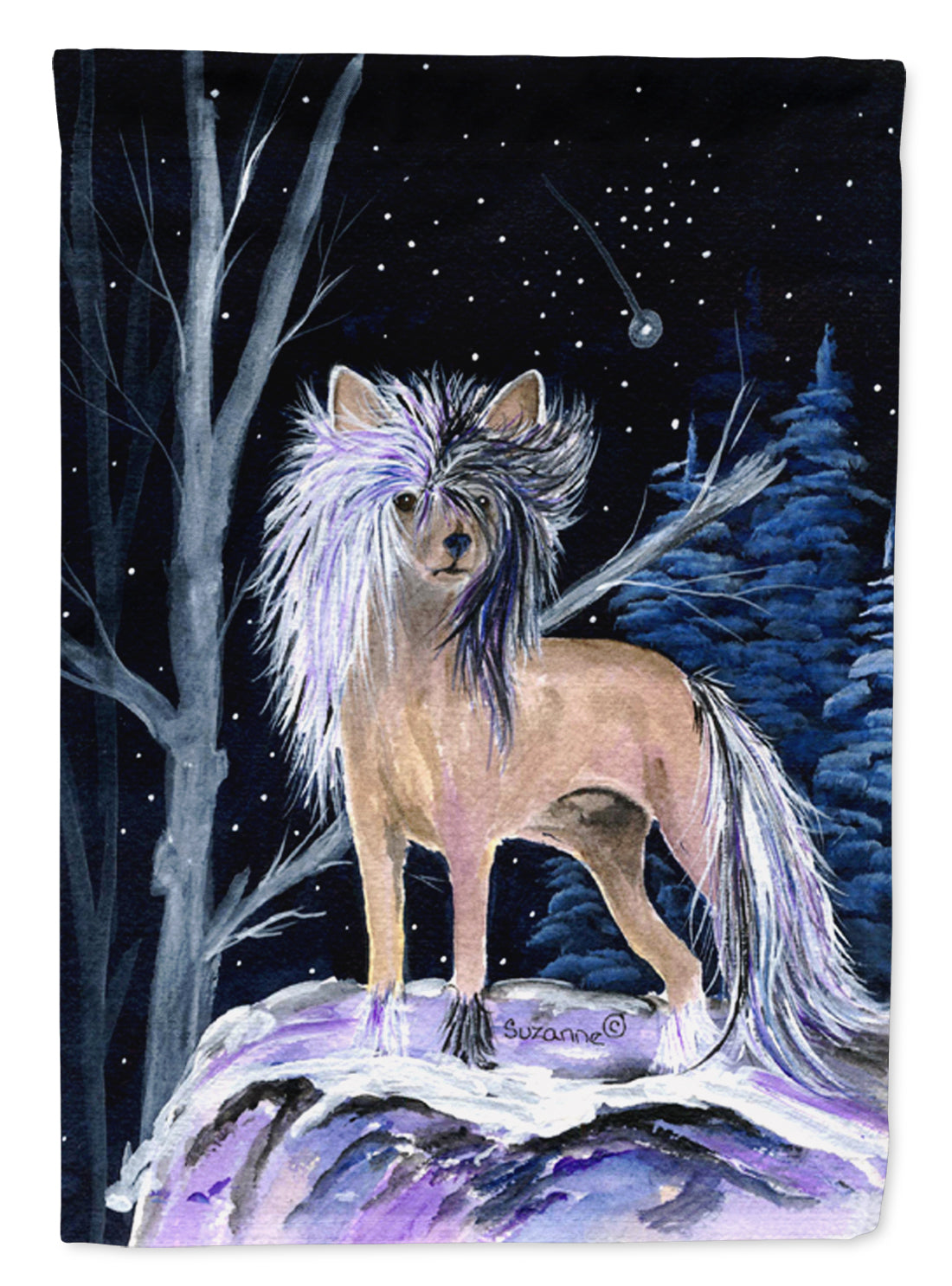 Starry Night Chinese Crested Flag Canvas House Size