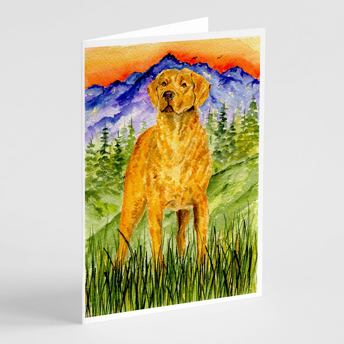 Buy this Chesapeake Bay Retriever Greeting Cards and Envelopes Pack of 8