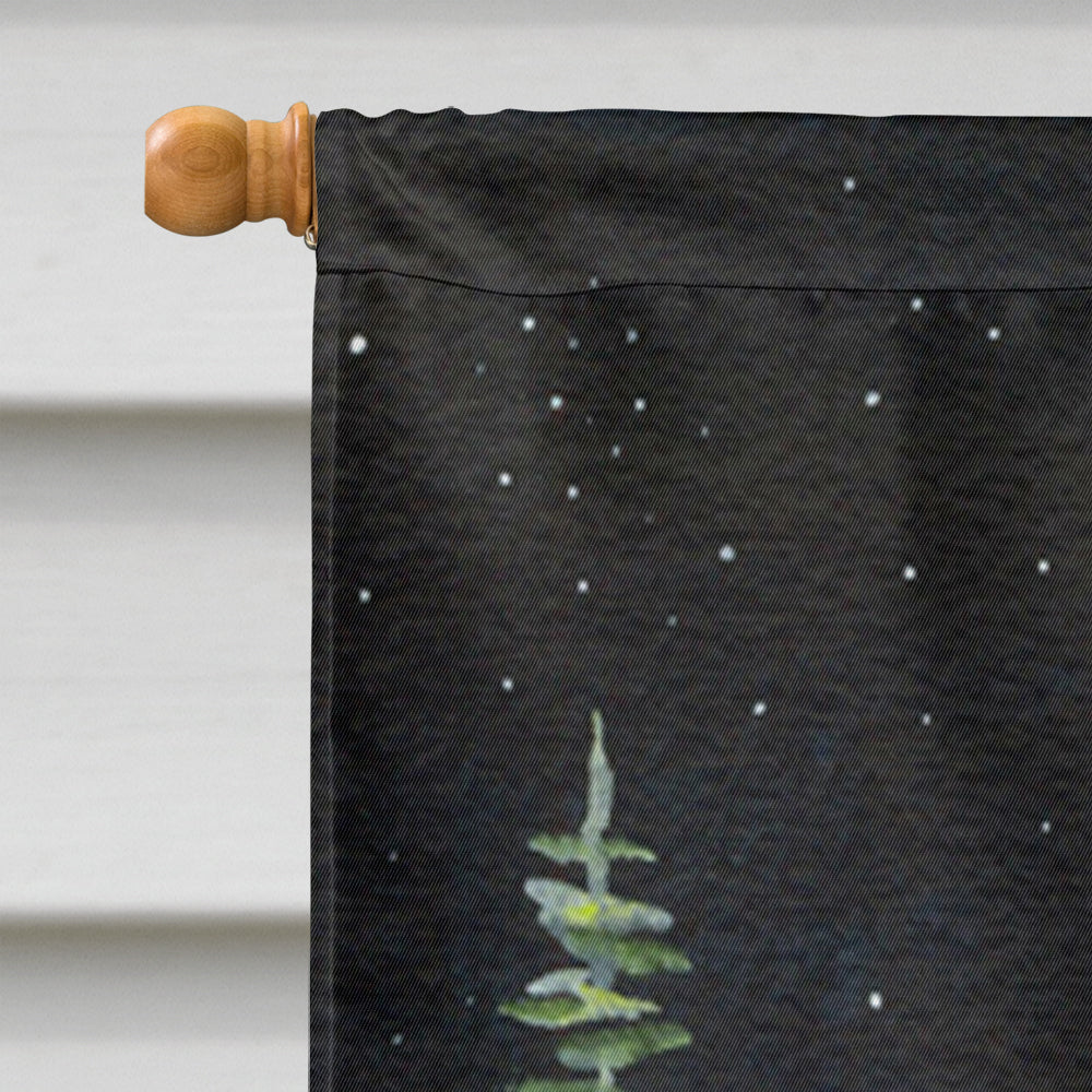 Starry Night Bernese Mountain Dog Flag Canvas House Size