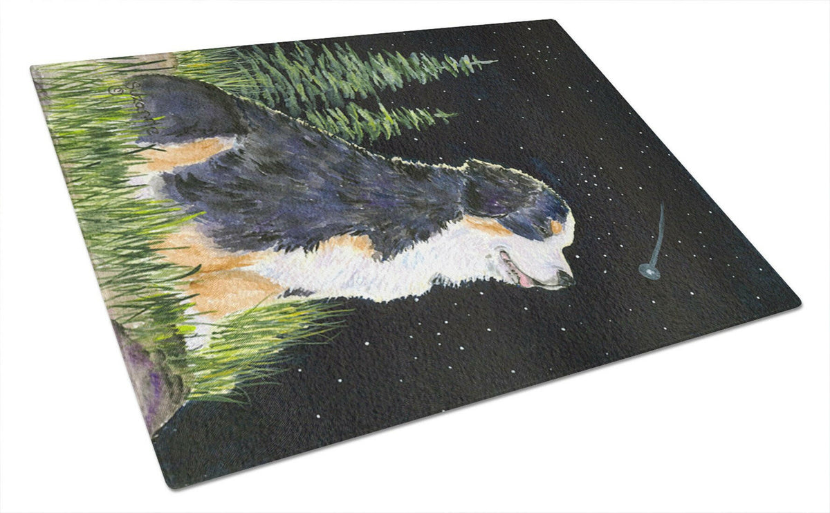 Starry Night Bernese Mountain Dog Glass Cutting Board Large by Caroline&#39;s Treasures