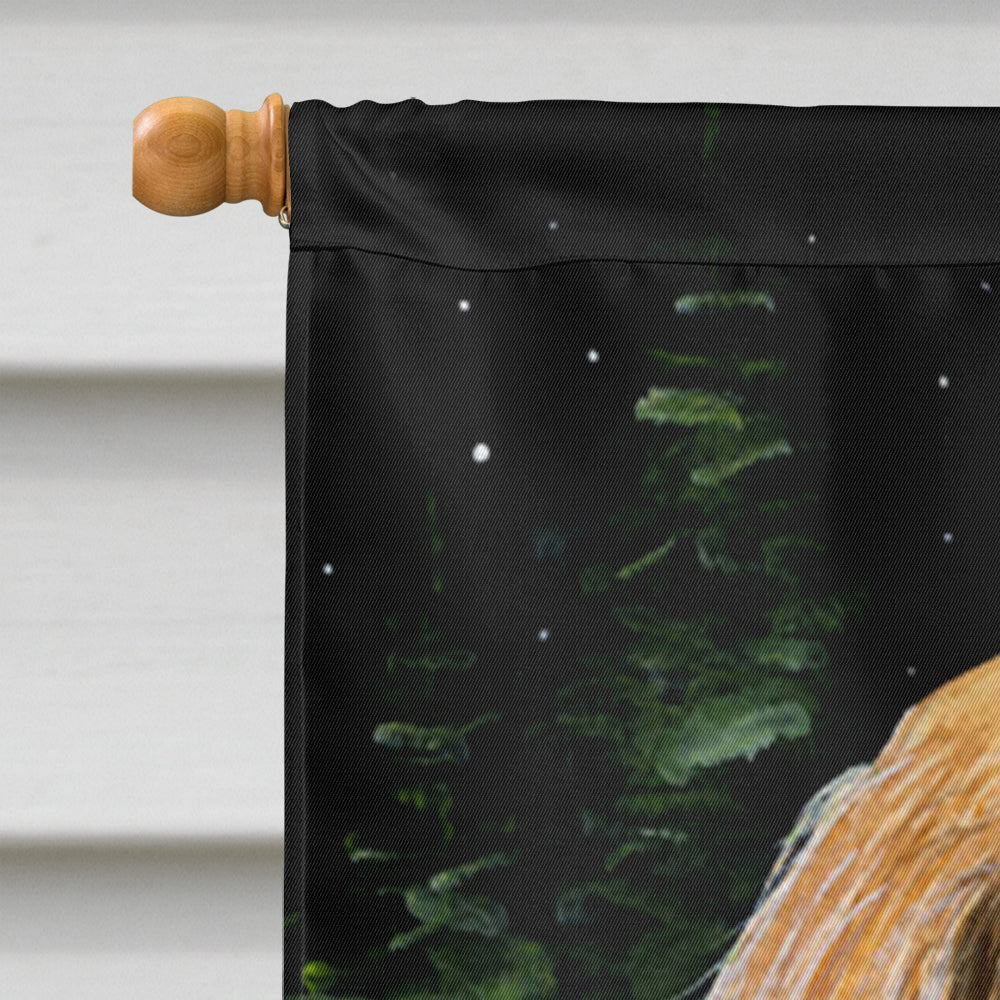 Taille de maison de toile de drapeau de Saluki de nuit étoilée