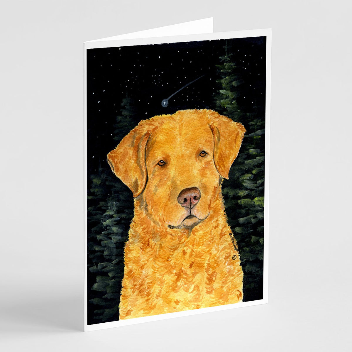 Buy this Starry Night Chesapeake Bay Retriever Greeting Cards and Envelopes Pack of 8