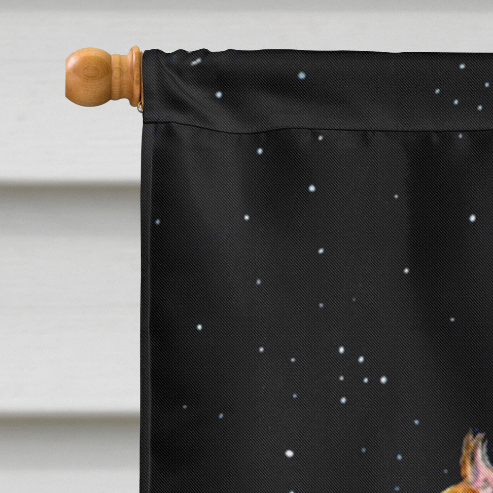 Starry Night Boxer Flag Canvas House Size  the-store.com.