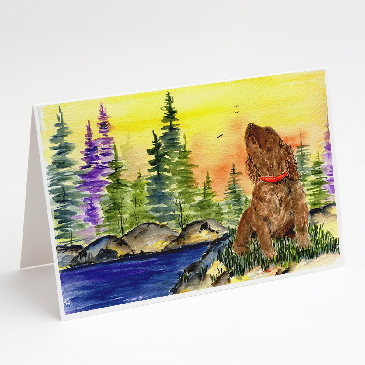 Buy this American Water Spaniel Greeting Cards and Envelopes Pack of 8
