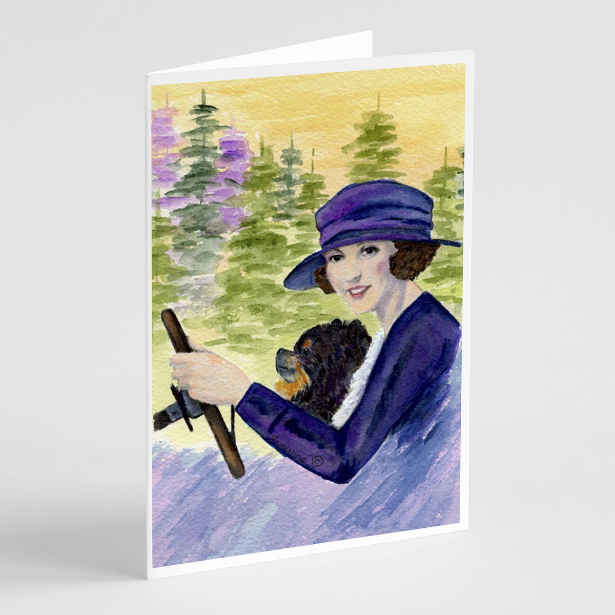Buy this Lady driving with her Pomeranian Greeting Cards and Envelopes Pack of 8