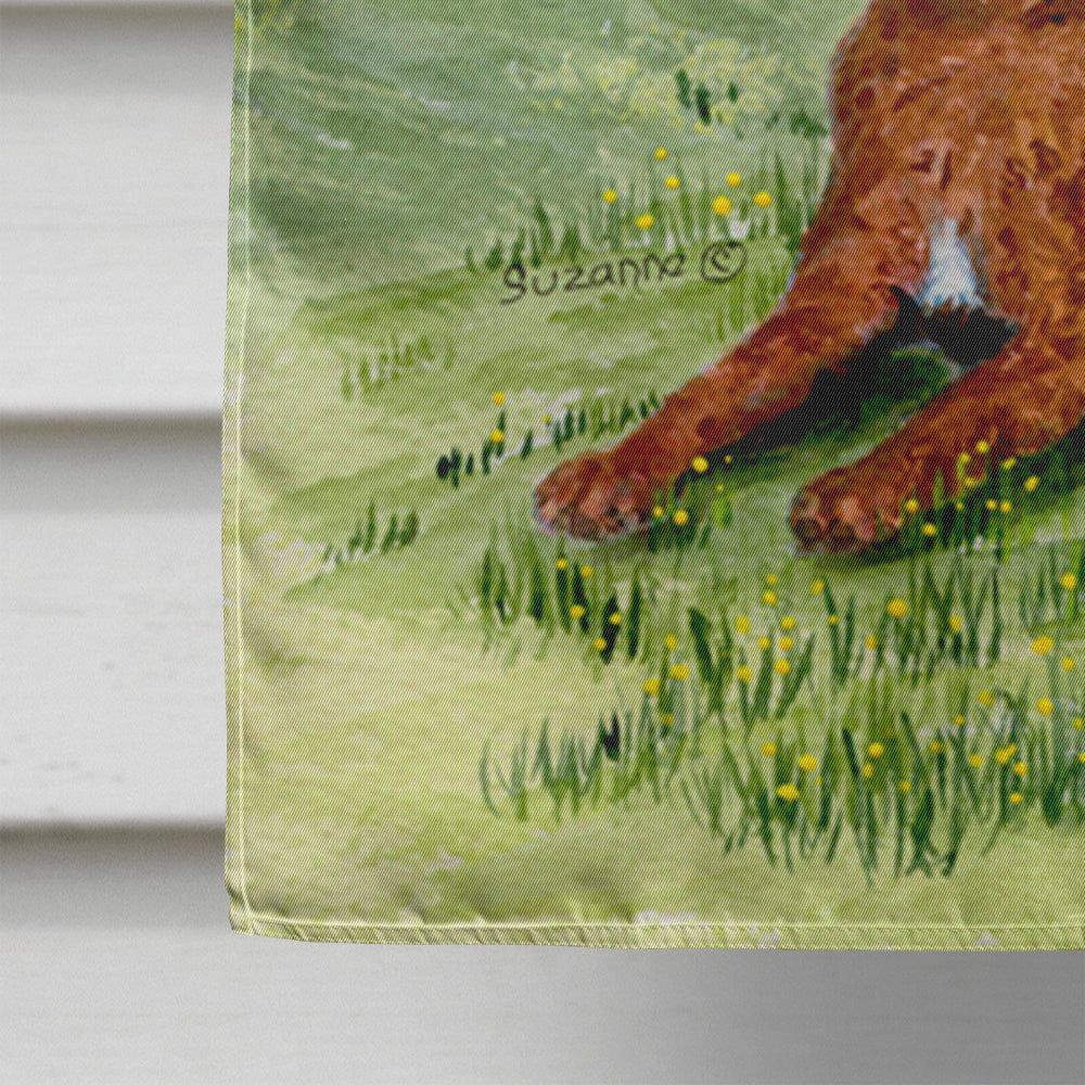 Little boy with his Chesapeake Bay Retriever Flag Canvas House Size  the-store.com.