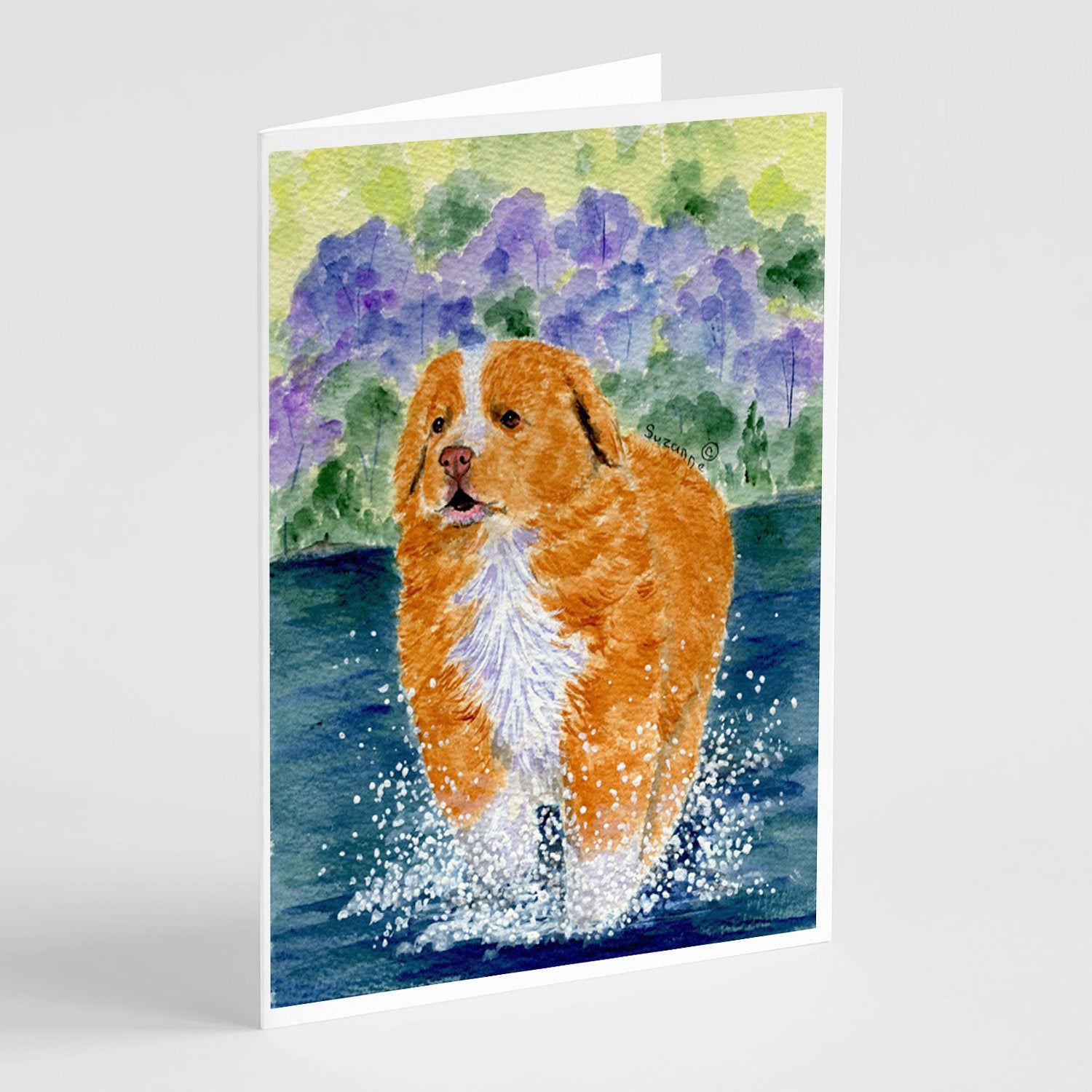 Buy this Nova Scotia Duck Toller Greeting Cards and Envelopes Pack of 8