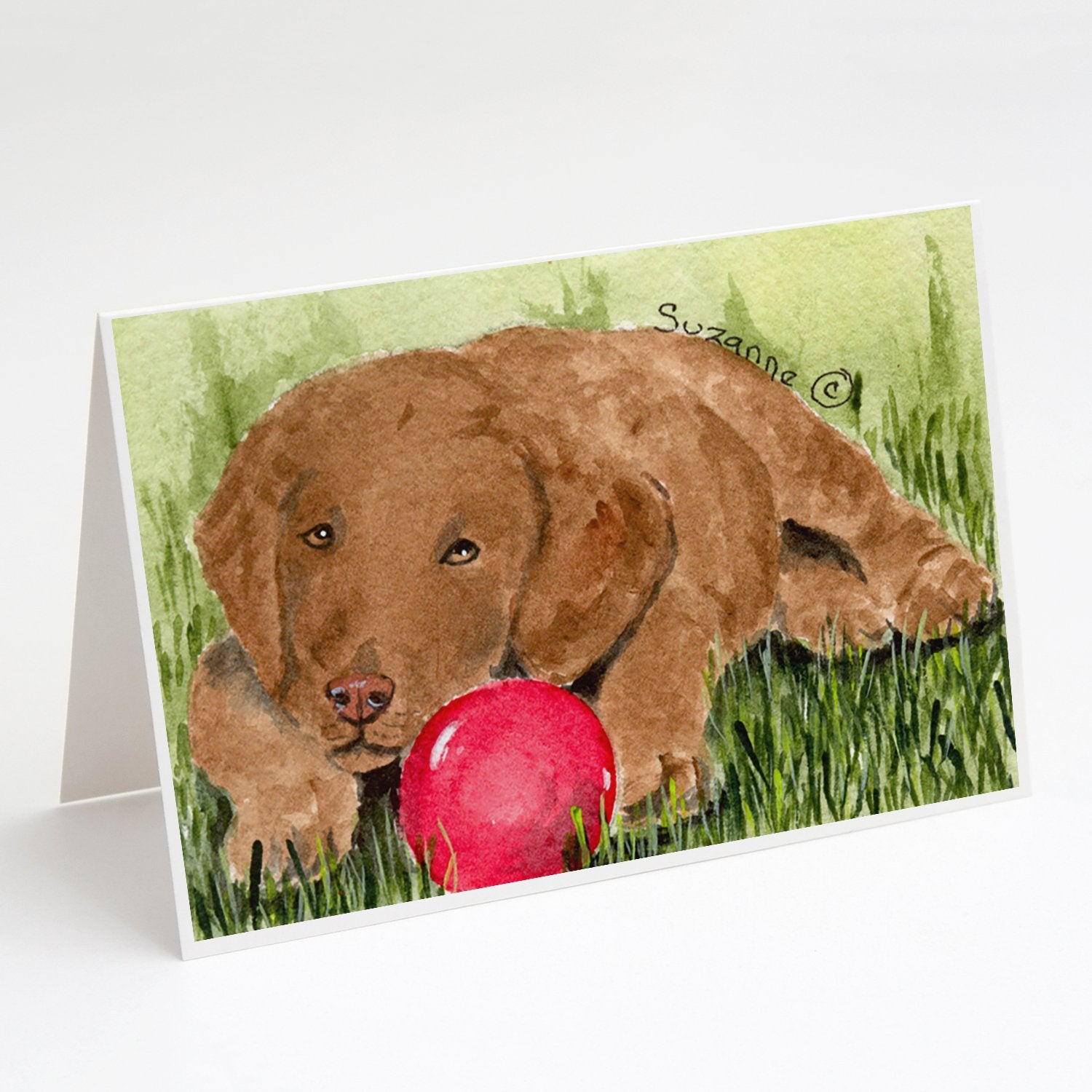 Buy this Curly Coated Retriever Greeting Cards and Envelopes Pack of 8