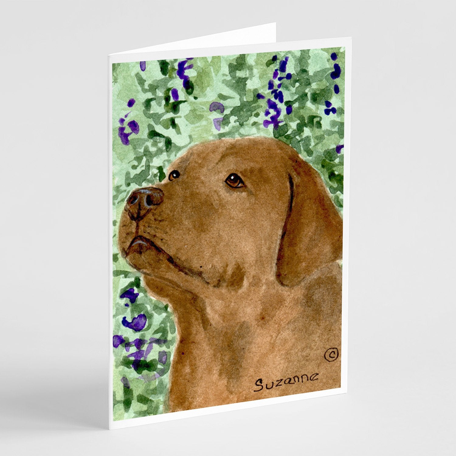 Buy this Chocolate Labrador Greeting Cards and Envelopes Pack of 8