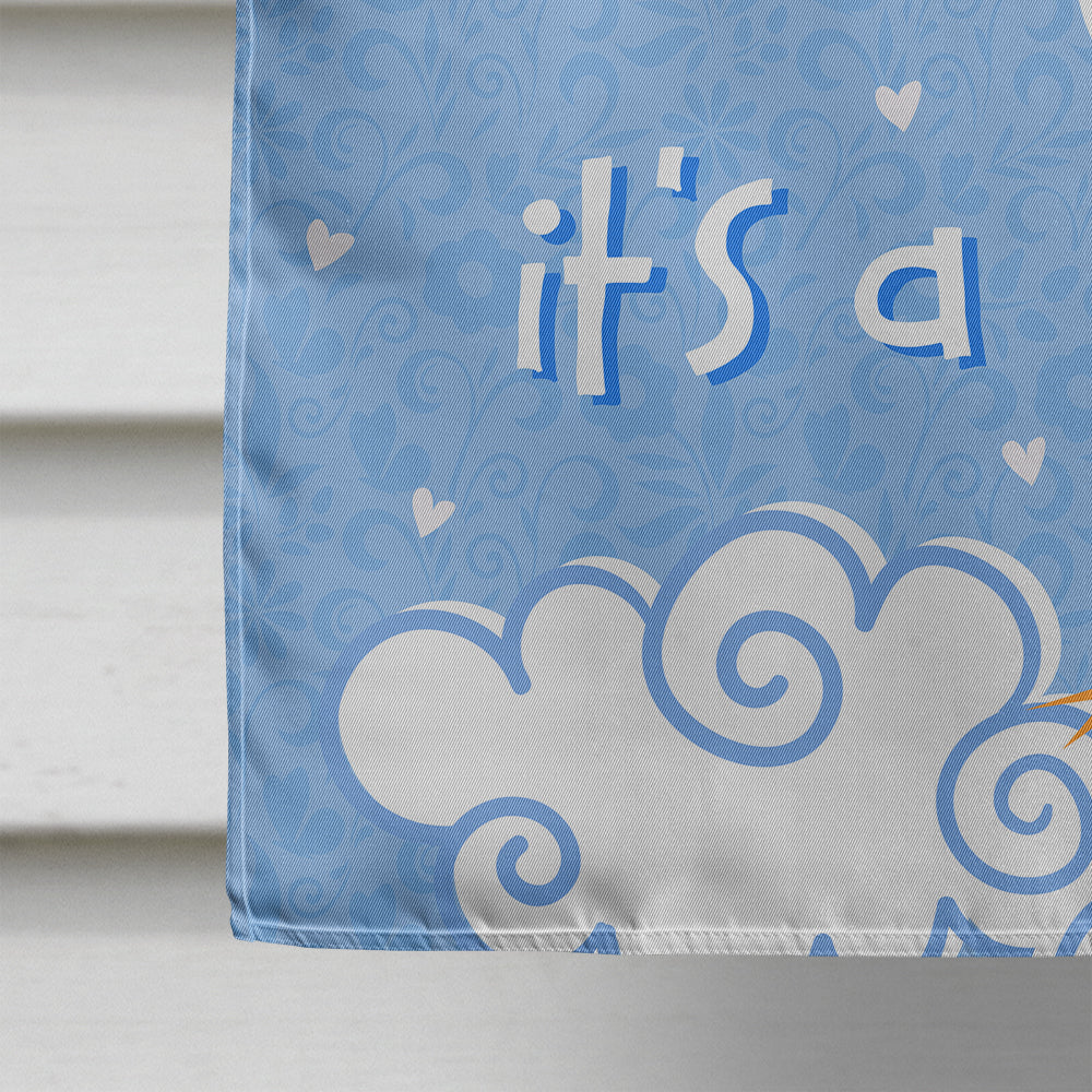 It's a Baby Boy Flag Canvas House Size VHA3012CHF  the-store.com.