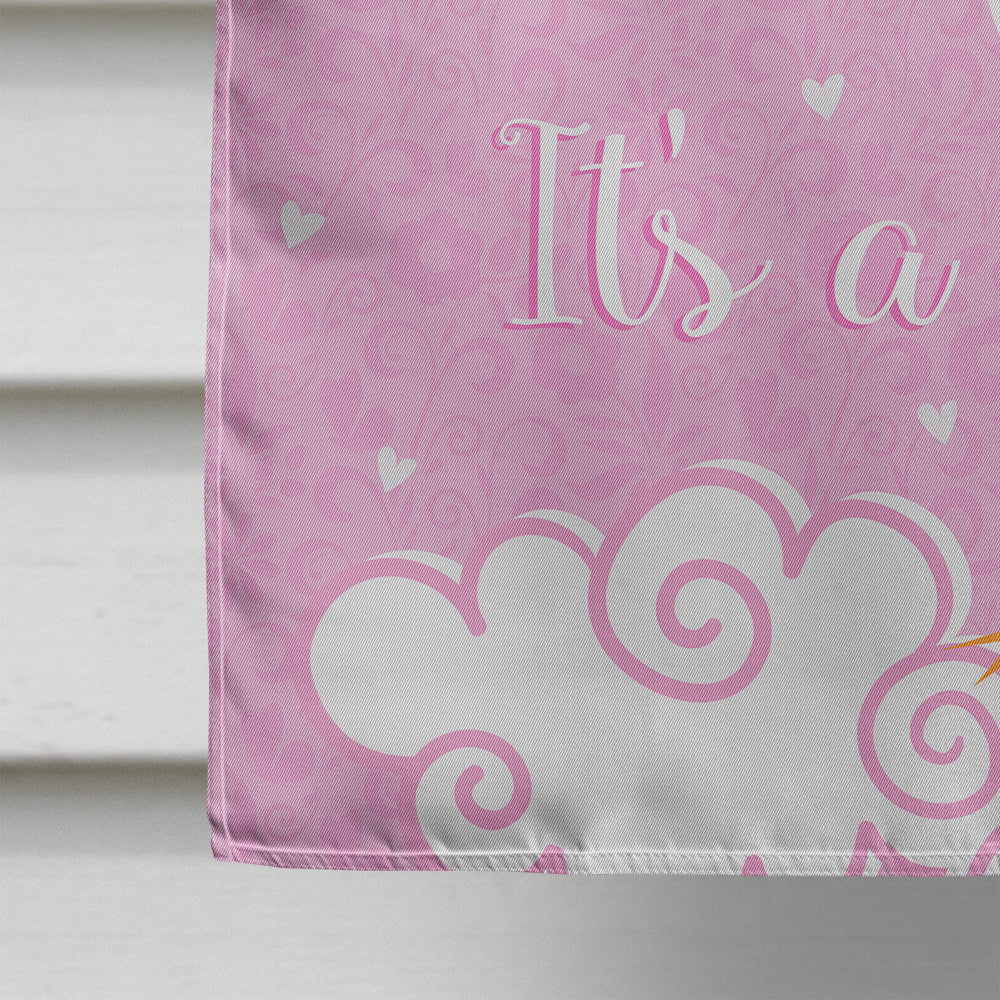 It's a Baby Girl Flag Canvas House Size VHA3013CHF