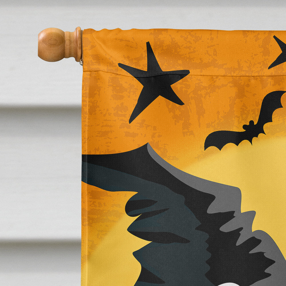 Halloween Wicked Witch Flag Canvas House Size VHA3019CHF