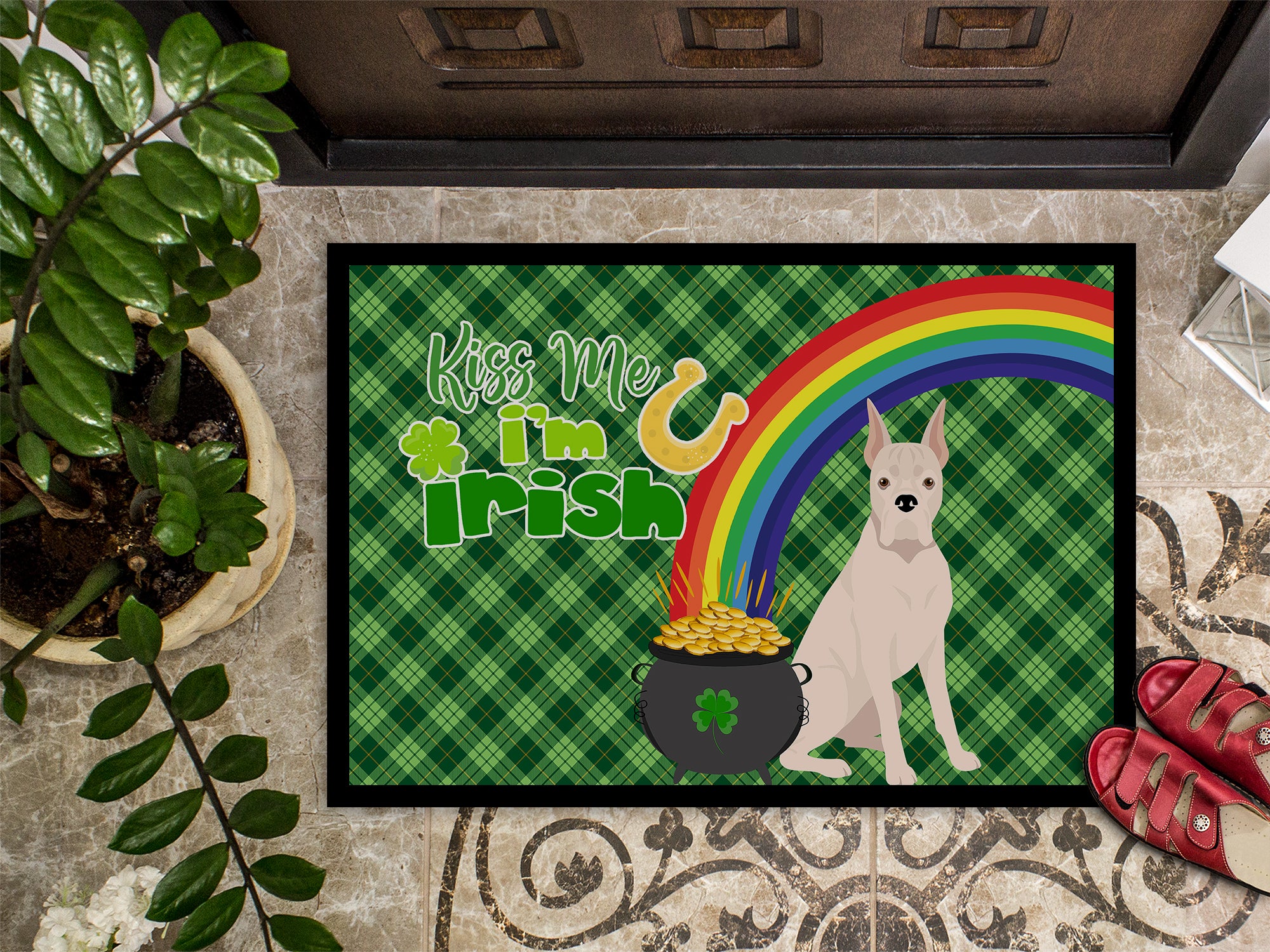 White Boxer St. Patrick's Day Indoor or Outdoor Mat 24x36 - the-store.com