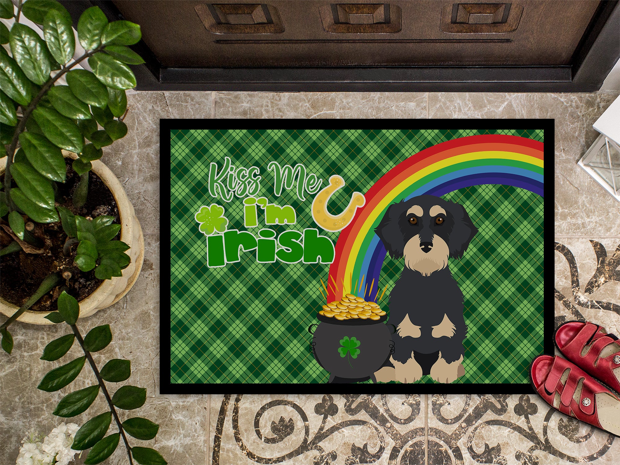 Wirehair Black and Cream Dachshund St. Patrick's Day Indoor or Outdoor Mat 24x36 - the-store.com
