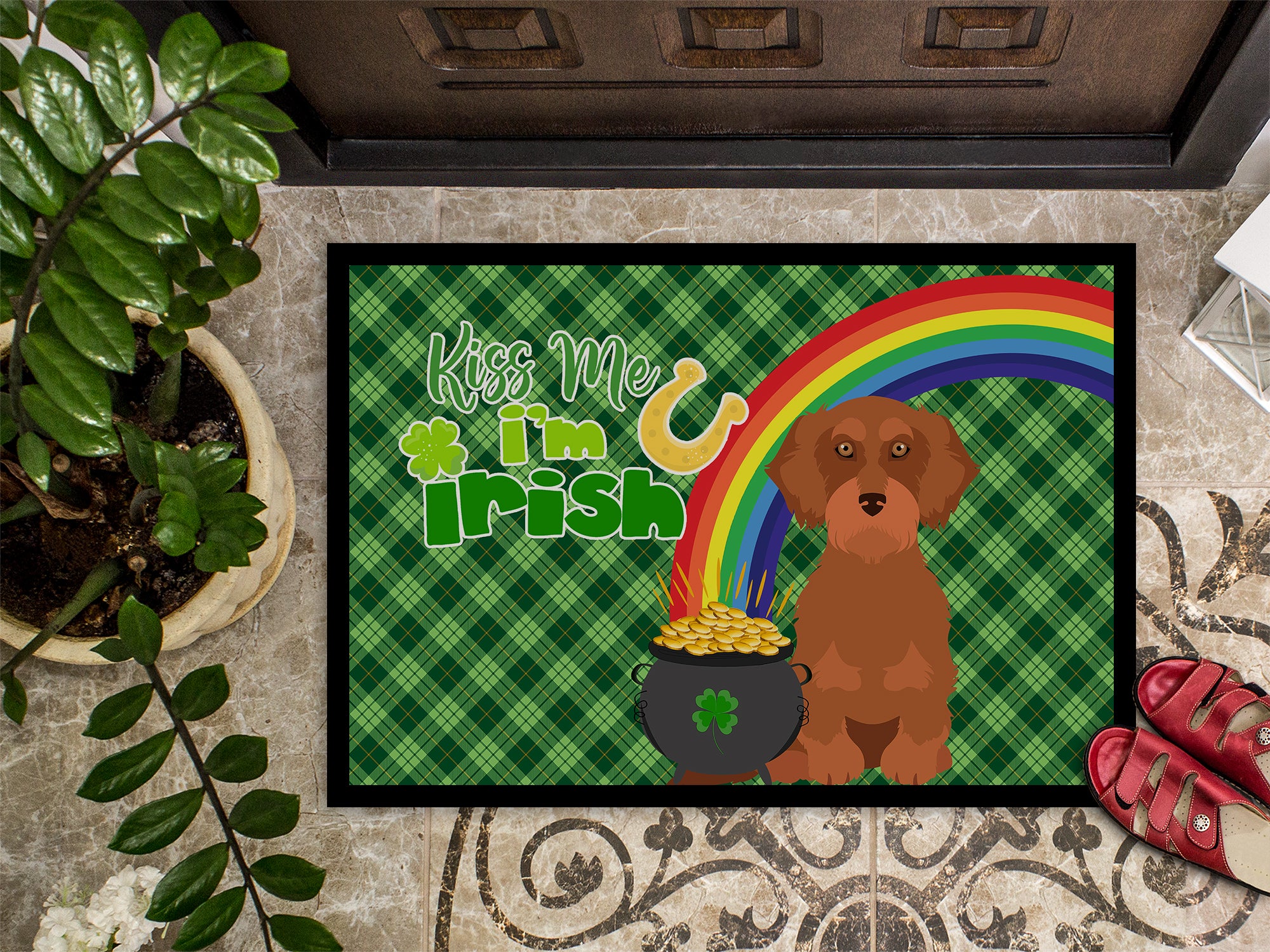 Wirehair Red Dachshund St. Patrick's Day Indoor or Outdoor Mat 24x36 - the-store.com