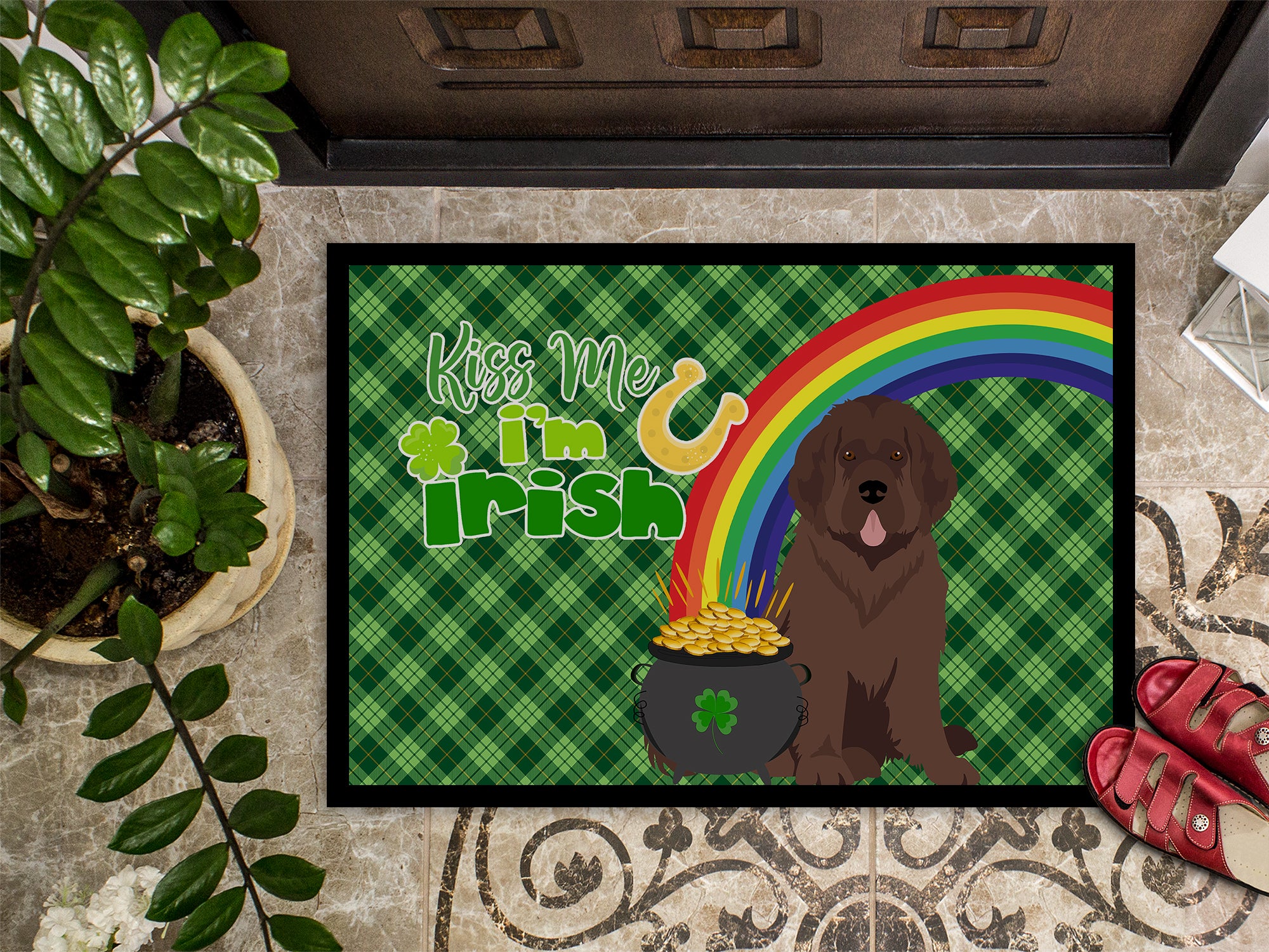 Brown Newfoundland St. Patrick's Day Indoor or Outdoor Mat 24x36 - the-store.com