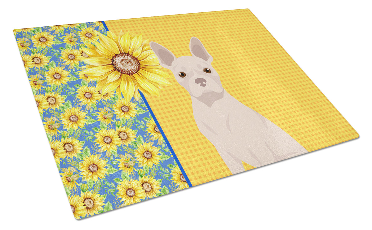 Buy this Summer Sunflowers White Boston Terrier Glass Cutting Board Large