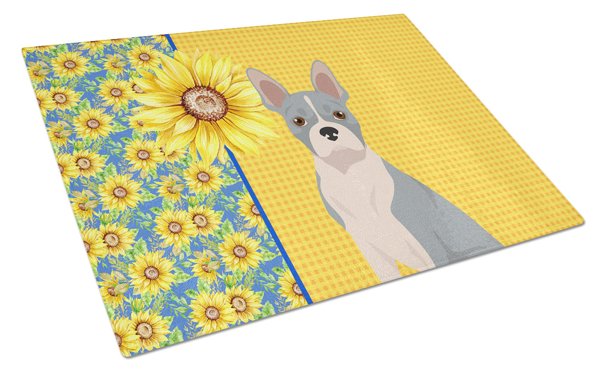 Buy this Summer Sunflowers Blue Boston Terrier Glass Cutting Board Large