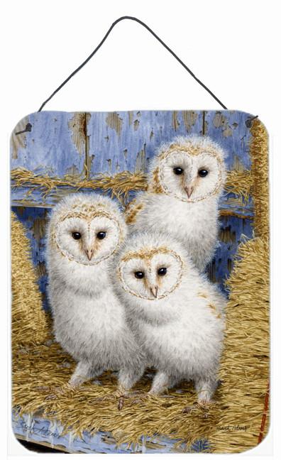 Barn Owl Chicks Wall or Door Hanging Prints ASA2076DS1216 by Caroline&#39;s Treasures