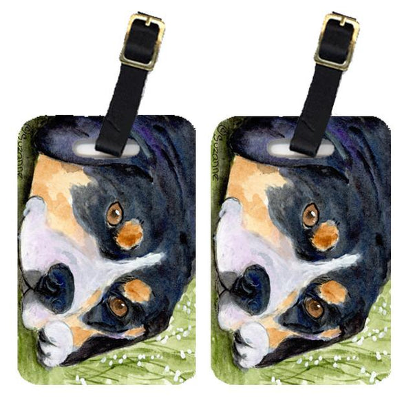 Pair of 2 Entlebucher Mountain Dog Luggage Tags by Caroline's Treasures